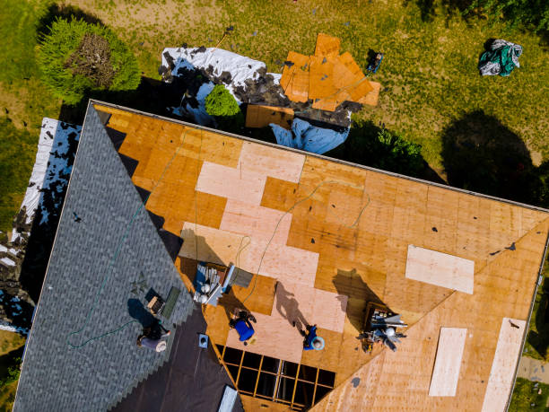 Best Roof Repair Services  in Black Creek, WI