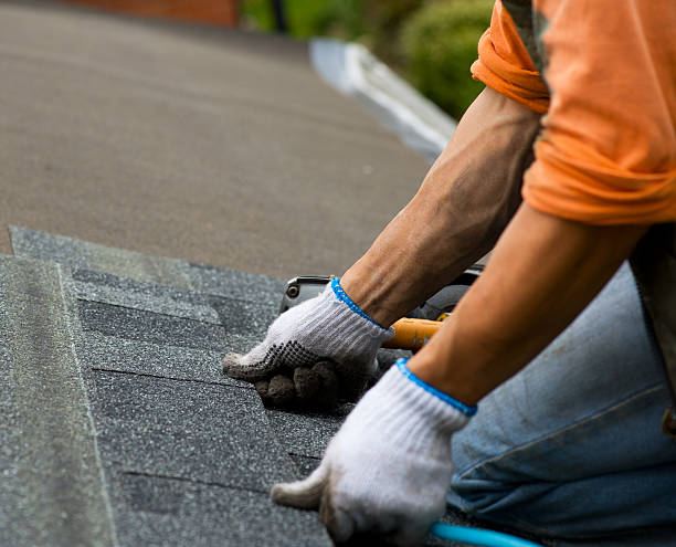 Best Shingle Roofing Installation  in Black Creek, WI